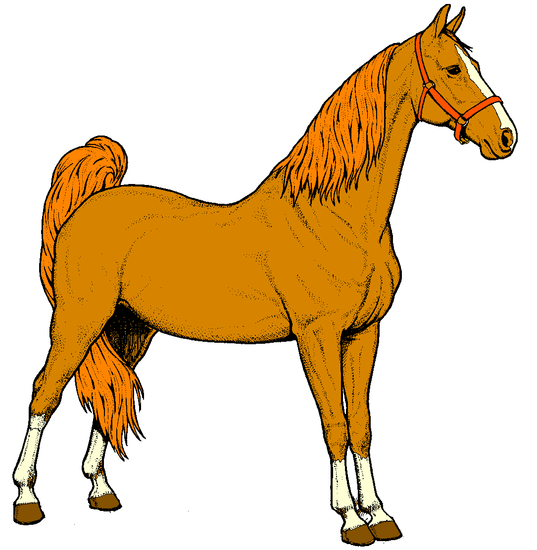 Clip art horse