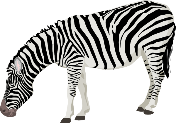 Animated Zebra Pictures