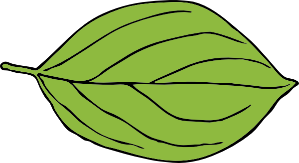 Apple Leaves Drawing - ClipArt Best