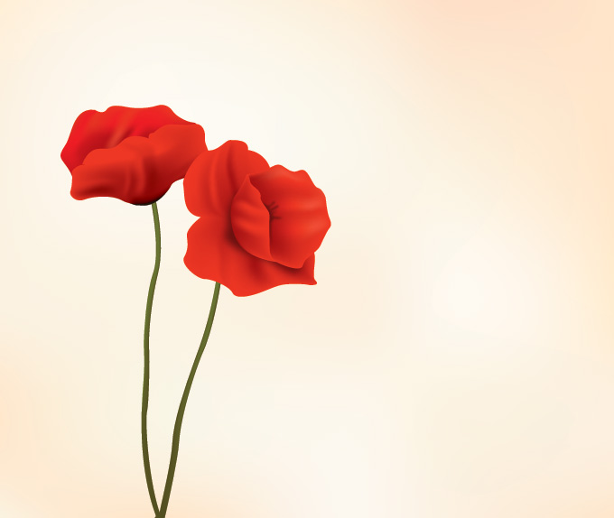 Red Poppy Flower Vector Illustration (Free), vector file - 365PSD.com