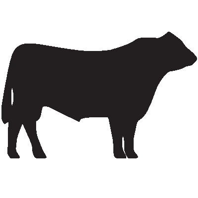 Angus Bull Outline Clipart