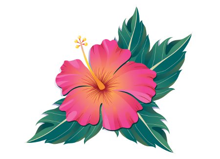 Hibiscus Flower Tattoos Designs