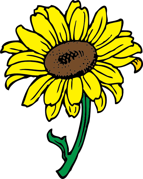 Cartoon Sunflower Pictures