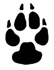 lion-paw-print | TATTOO: paws & feet | Pinterest | Lion, Google ...