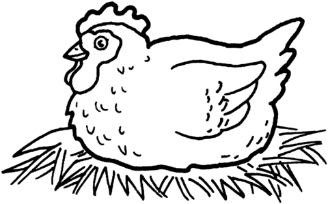 Hen hatching chicken eggs coloring page | Free Printable Coloring ...