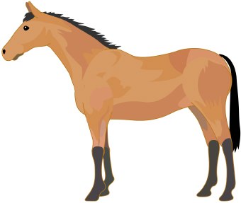 Horse Clipart Gifs - Free Clipart Images