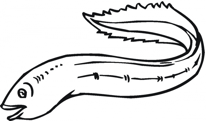 Eel Clipart - Tumundografico