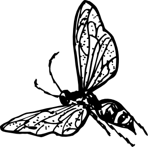 Wasp clip art - vector clip art online, royalty free & public domain