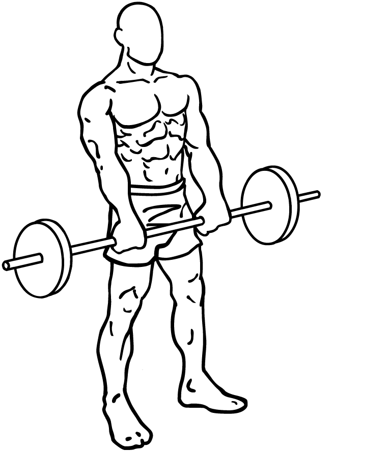 Barbell Front Raise - A New Shoulder Exercise for your Shoulder ...