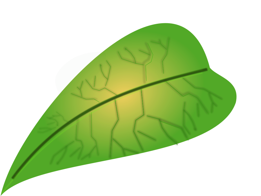 Pictures Leaf | Free Download Clip Art | Free Clip Art | on ...