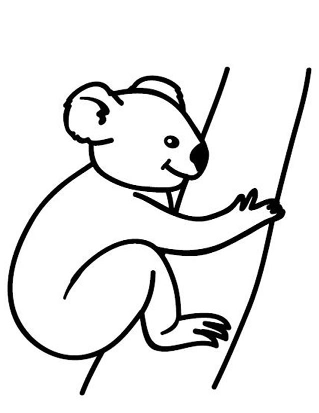 77 dibujos de Koalas para colorear | Oh Kids | Page 3