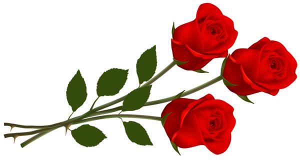 Clipart Roses - Tumundografico