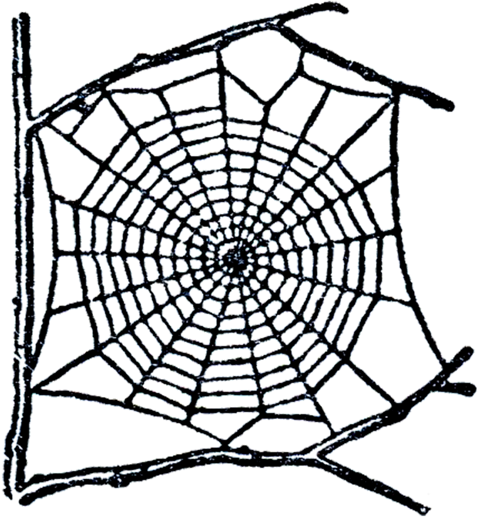 Spiderweb Clip Art