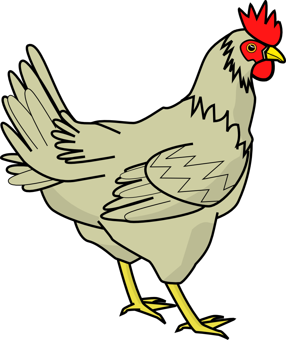 Chicken Pictures Clip Art