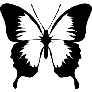 Butterfly Clip Art Black And White | Butterfly - Polyvore