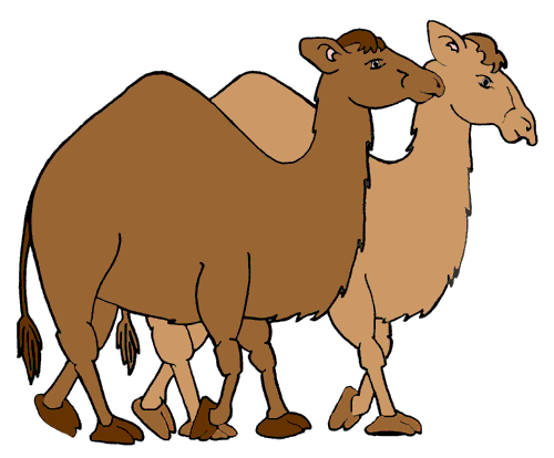 Camel Images | Free Download Clip Art | Free Clip Art | on Clipart ...