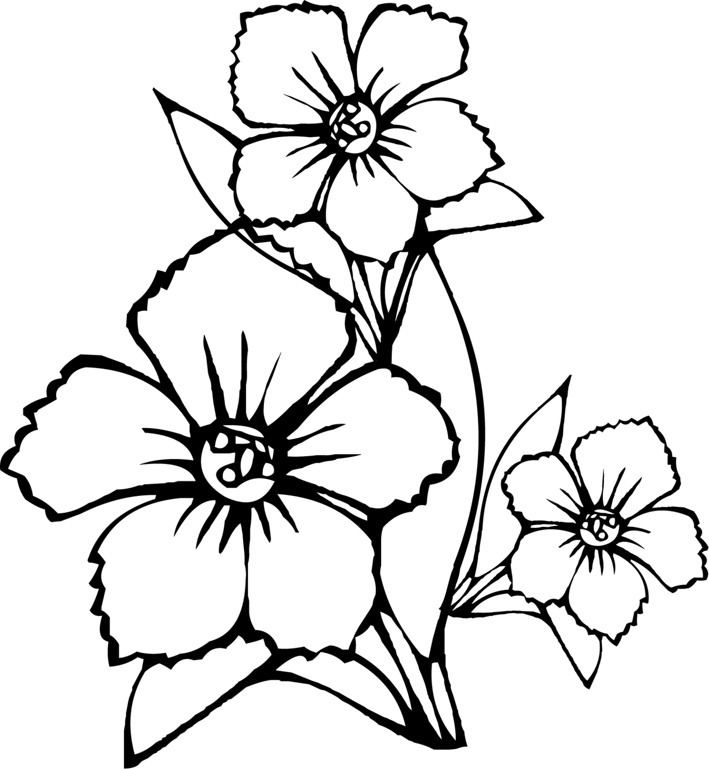 Flowers To Colour Clipart - Free to use Clip Art Resource