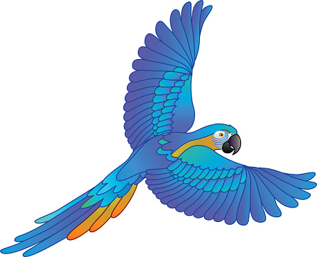 Macaw Clip Art, Vector Images & Illustrations