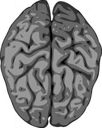 Brain Free vector for free download about (73) Free vector in ai ...