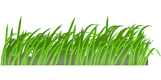 Free Grass Clip Art