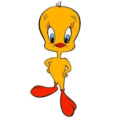 GalleryCartoon: Tweety Bird Photo Gallery