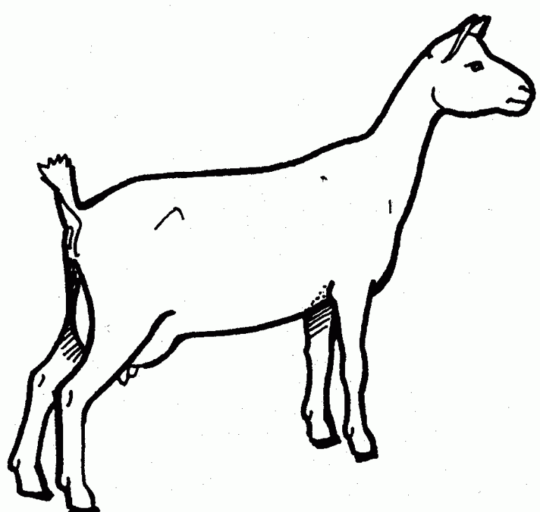 nanny goat clipart