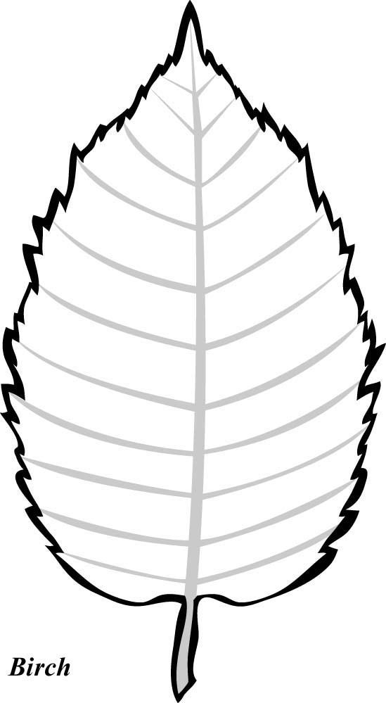 Leaf Pattern To Trace - AZ Coloring Pages