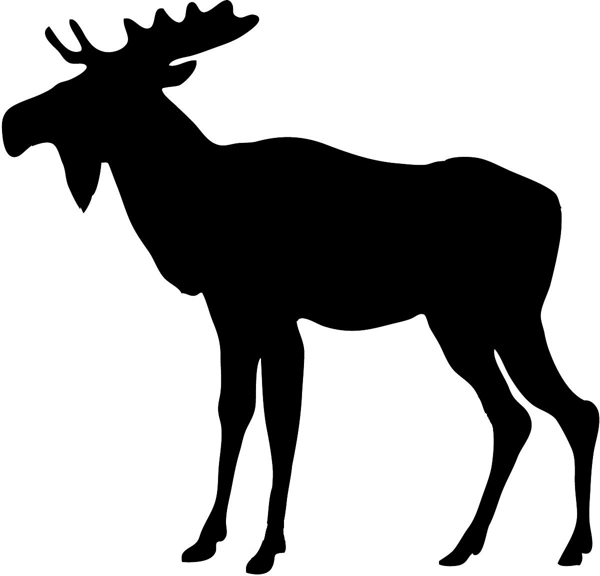 Moose Clipart - 46 cliparts