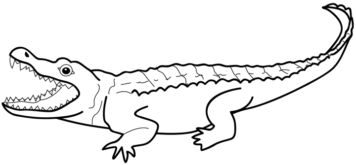 Crocodile Clip Art