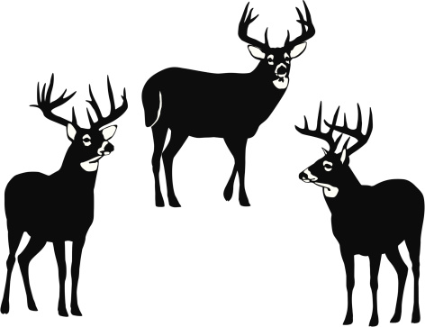 White Tailed Deer Clip Art, Vector Images & Illustrations