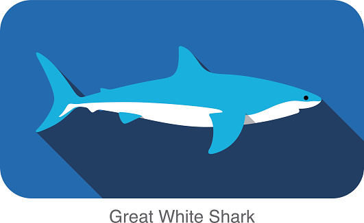 Great White Shark Clip Art, Vector Images & Illustrations