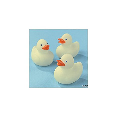 Amazon.com: Mini Glow in the Dark Rubber Duckies (24): Toys & Games