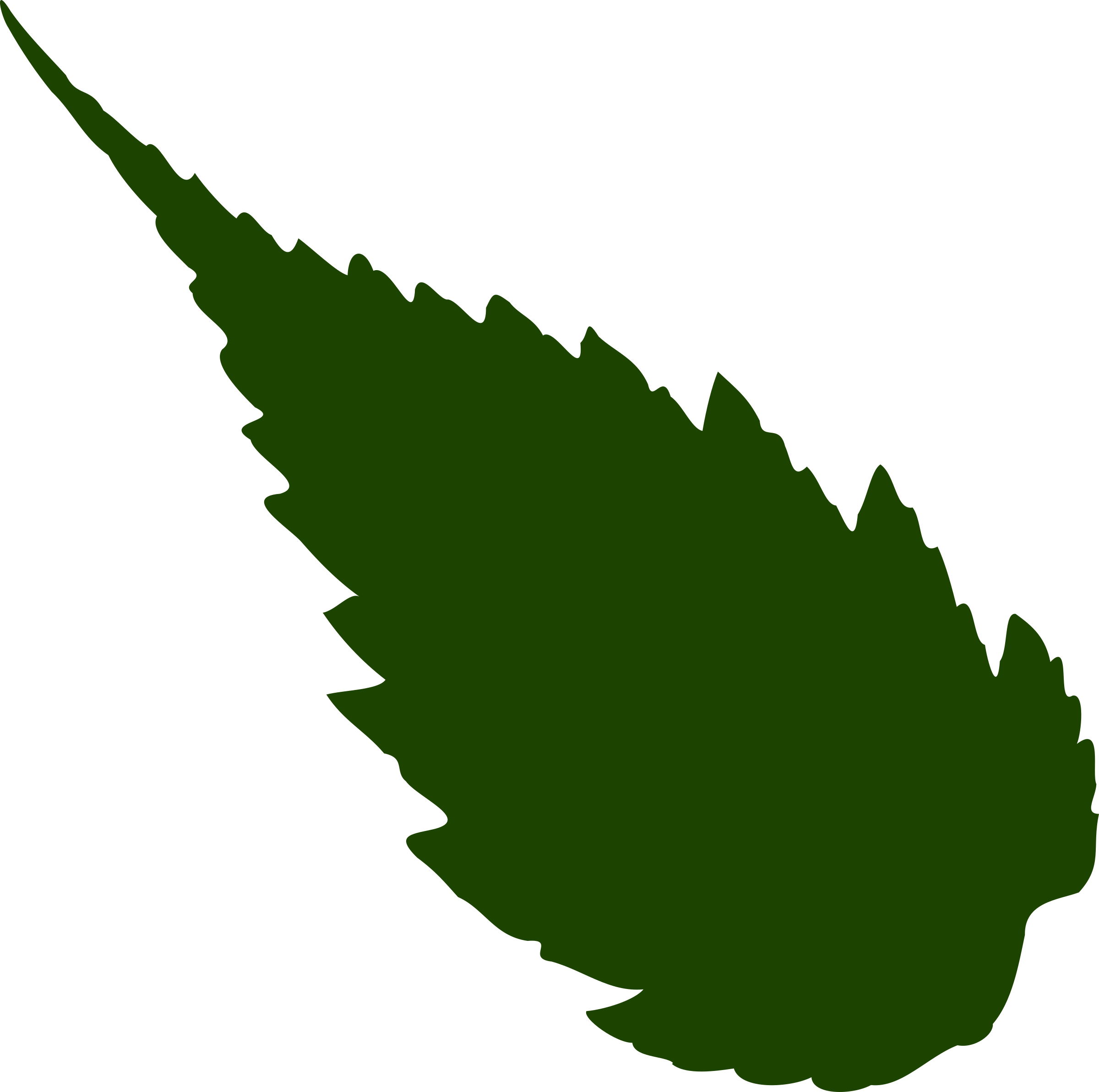 Jungle Leaf Clipart