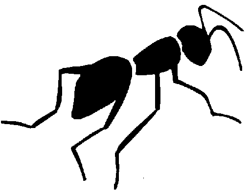 Ant Black And White Clipart