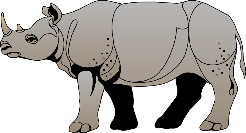 Rhino animal clipart - ClipartFox