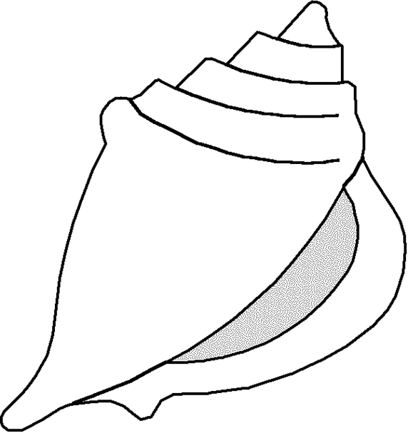 Shell clipart black and white
