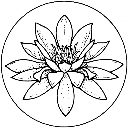Frog On Lily Pad Coloring Page - Free Clipart Images