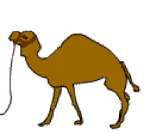 Camel GIFs - Find & Share on GIPHY