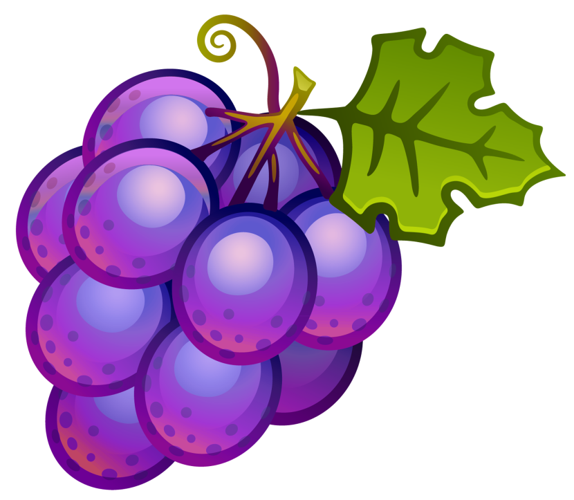 Violet grapes clipart