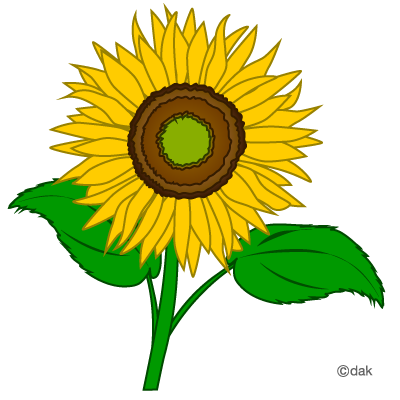 Sunflower Clipart – Gclipart.com