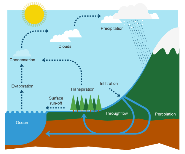 water cycle process diagram ~ Www.jebas.us