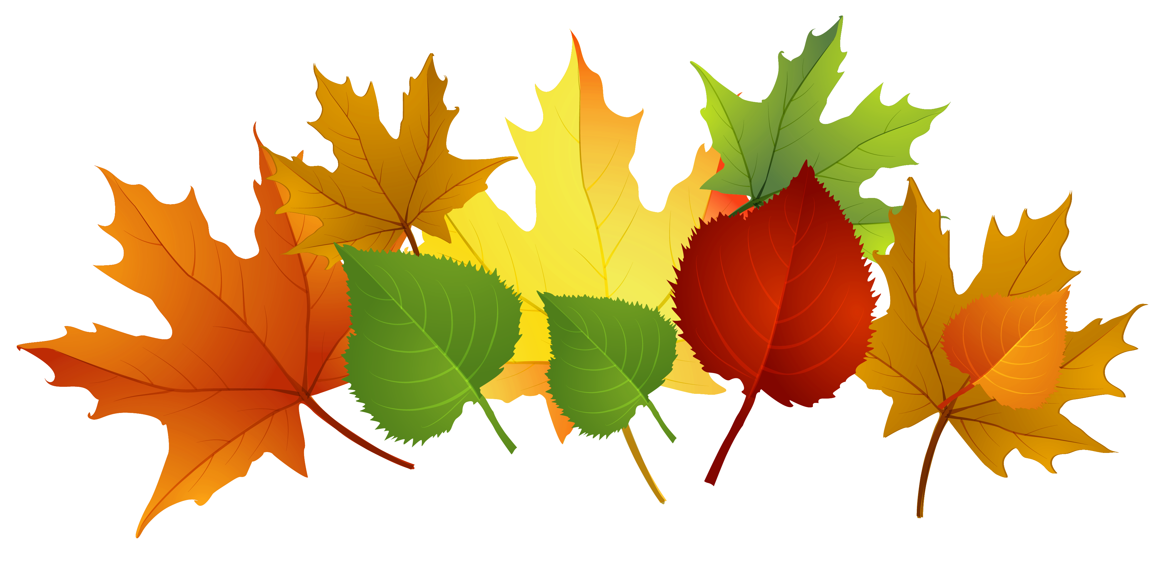 September Leaves Clipart