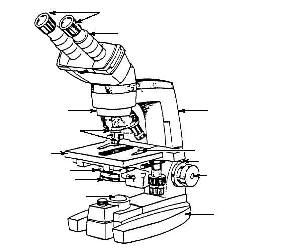 PARTS OF BINOCULAR MICROSCOPE Â« Optics & Binoculars