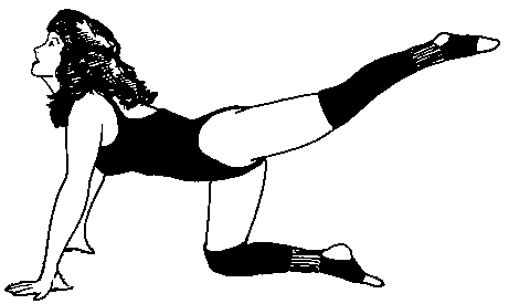 Fitness Clipart Free - Free Clipart Images