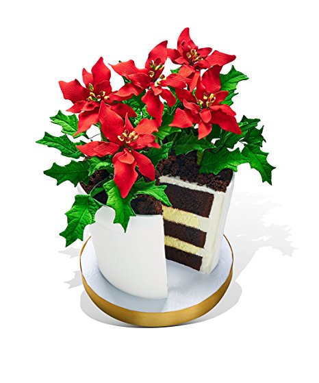 Amazon.com : Poinsettia Flower Pot Cake : Grocery & Gourmet Food