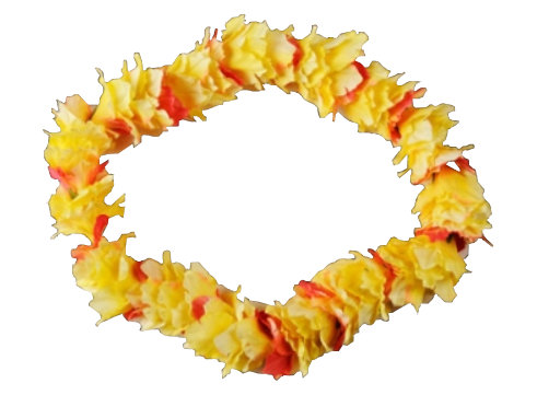 Picture Of A Hawaiian Lei - ClipArt Best