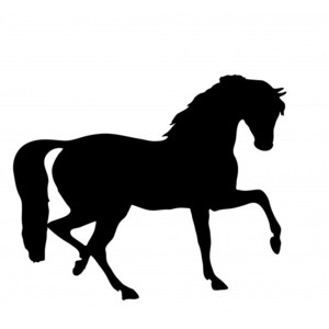 Pony silhouette clipart transparent