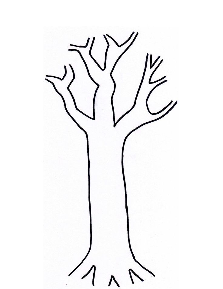 Tree trunks clip art