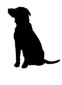 Labs, Labradors and Silhouette