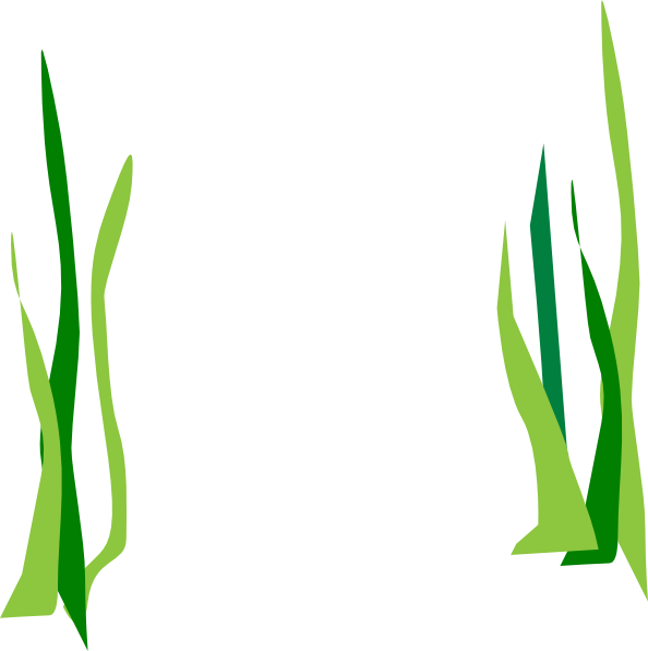 Seaweed Clipart